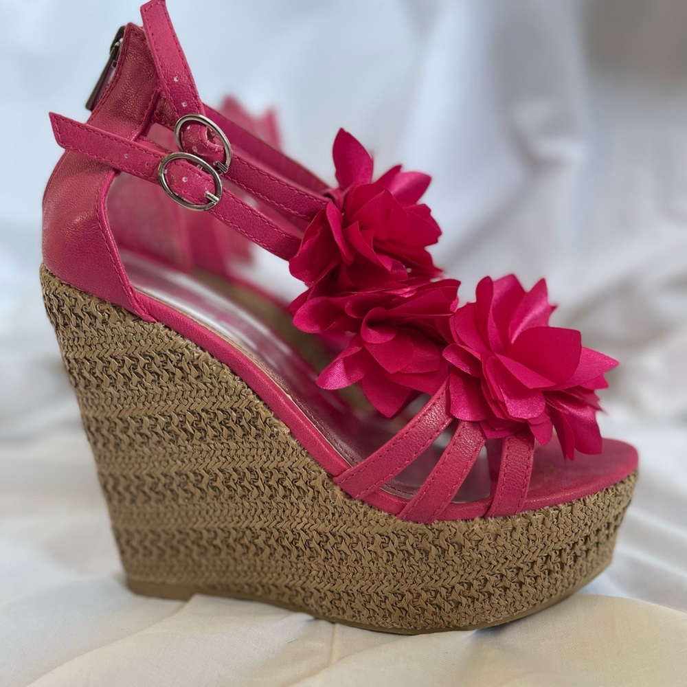 Rouge Wedges